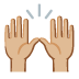 :raising_hands:t3: