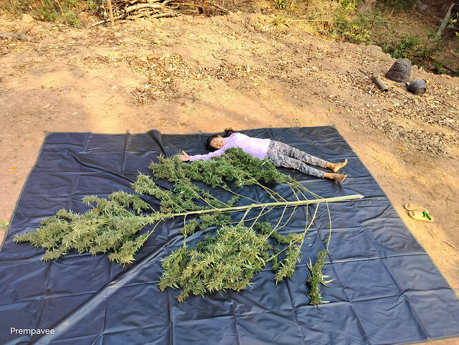 IMG20240308084732