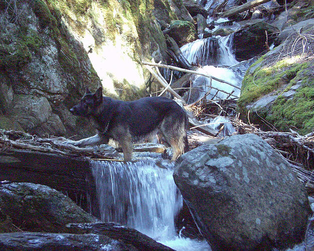 omo creek