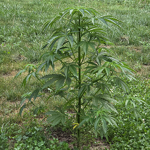 07172026 02