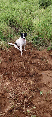 IMG_20260711_174949