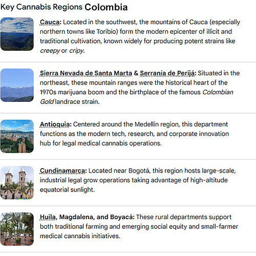 colombia regions