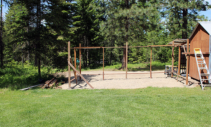 Windbreak 03