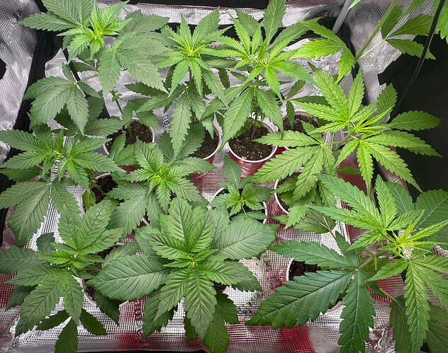 IMG_9826