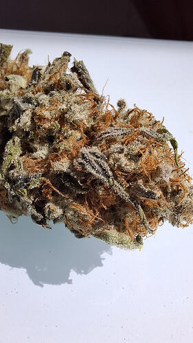 Legendary OG Punch (Royal Queen Seeds ) dry Flowers