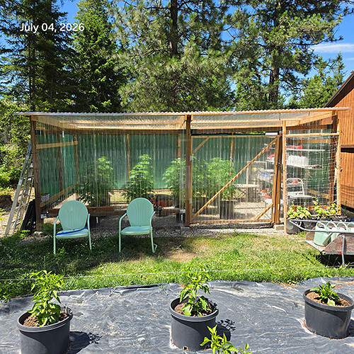 Greenhouse