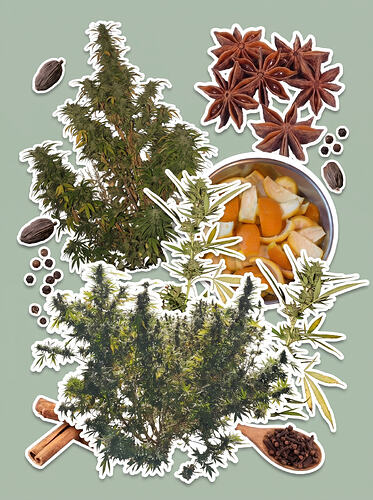 Botanical_mood_board_with_cutouts_202608022143
