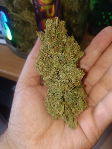Dragonleaf Ganja