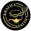:khalifagenetics: