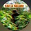 Loveof_Landrace468